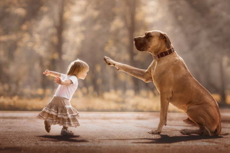 chó tiếp xúc chủ