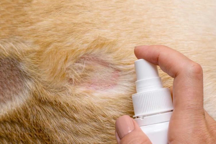 điều trị bệnh nấm