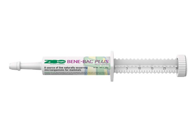 men tiêu hoá cho mèo Bene-Bac