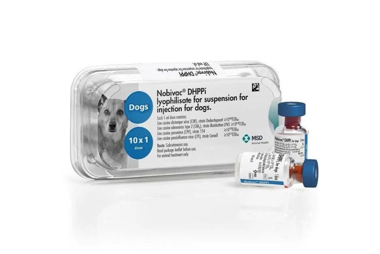 giá thuốc vacxin 7 bệnh cho chó 