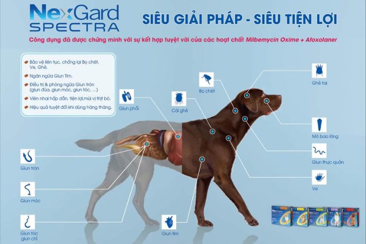trị ve chó
