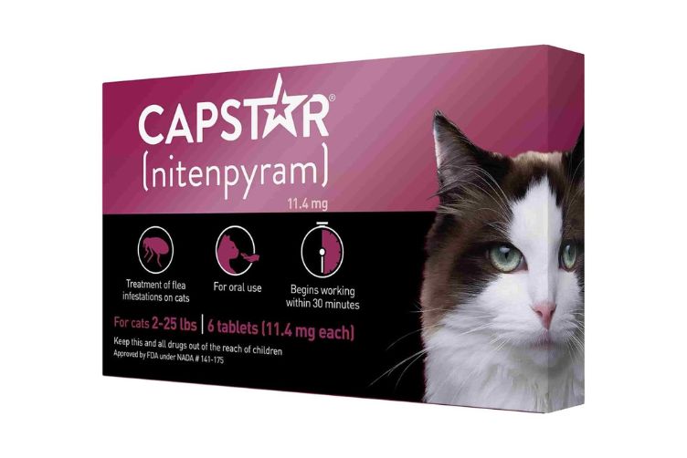 sử dụng thuốc capstar