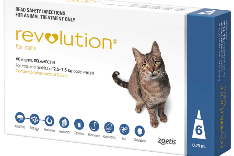 thuốc sổ giun cho mèo 