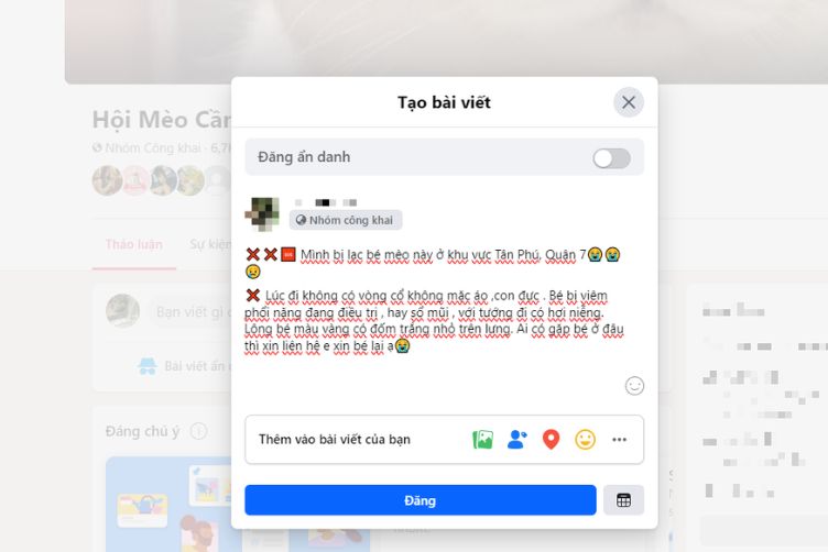 tìm chó mèo lạc 