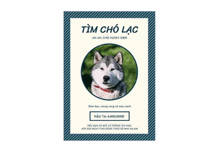 cách tìm chó mèo lạc 
