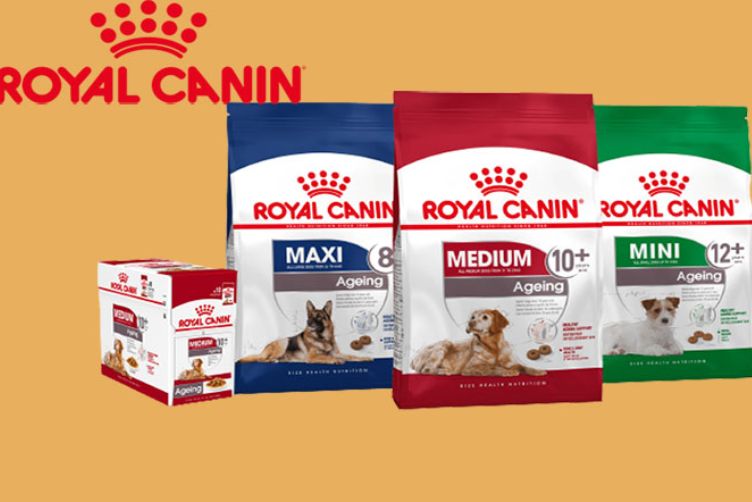 Thương hiệu thức ăn cho chó nổi tiếng royal canin