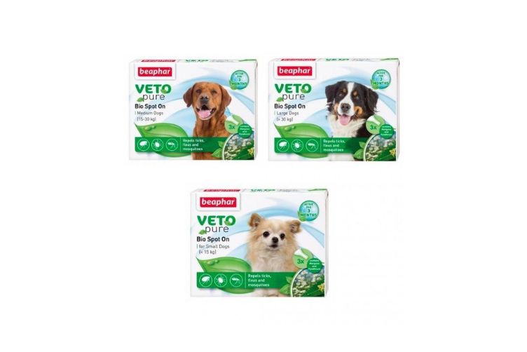 Cách phòng ngừa chó bị ve