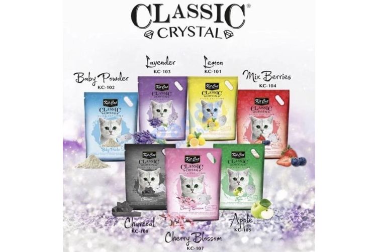 Cát Thuỷ Tinh Mèo Kit Cat Nhiều Mùi Hương