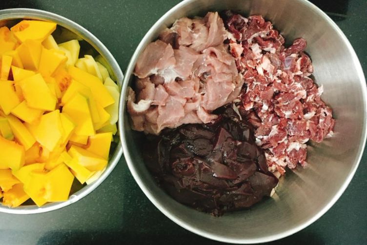 Những lưu ý khi chăm sóc lông cho mèo anh lông ngắn