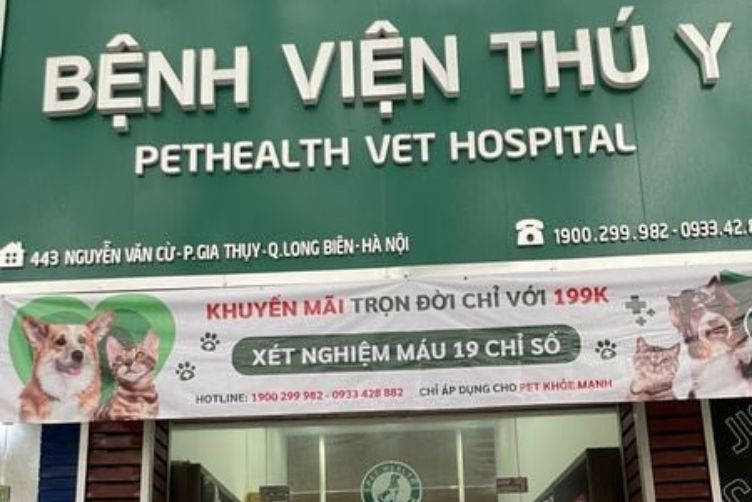 địa chỉ và số điện thoại các trạm cứu hộ chó mèo
