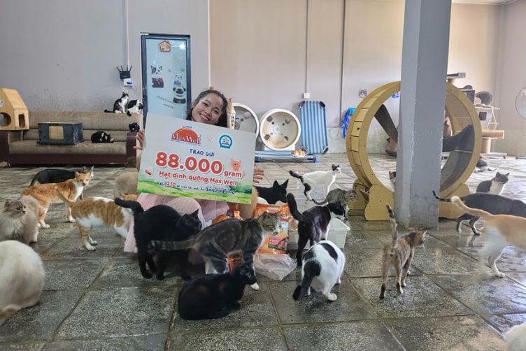 Số điện thoại cứu hộ chó mèo Sài Gòn