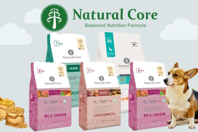 thức ăn chay cho mèo