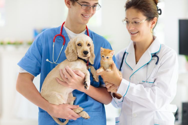 những điều cần biết khi tiêm phòng chó mèo