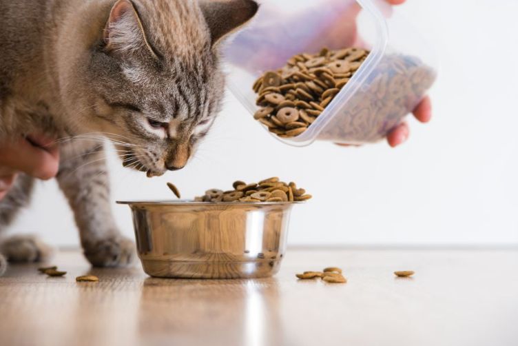 quy trình tẩy giun