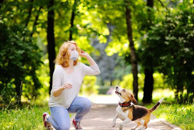 lợi ích của việc nuôi chó