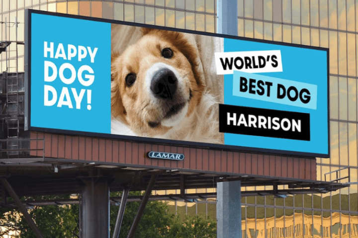 Có những ngày lễ nào trong năm dành cho vật nuôi