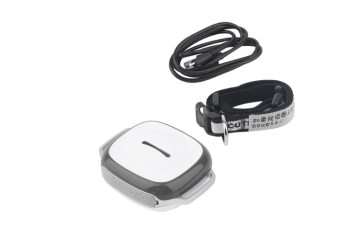 tìm hiểu thiết bị định vị cho chó mèo