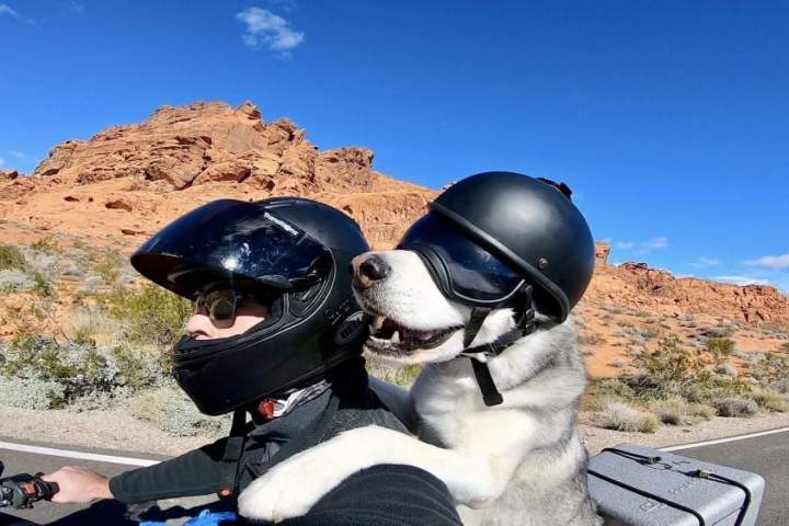 huan-luyen-cho-ngoi-xe-may